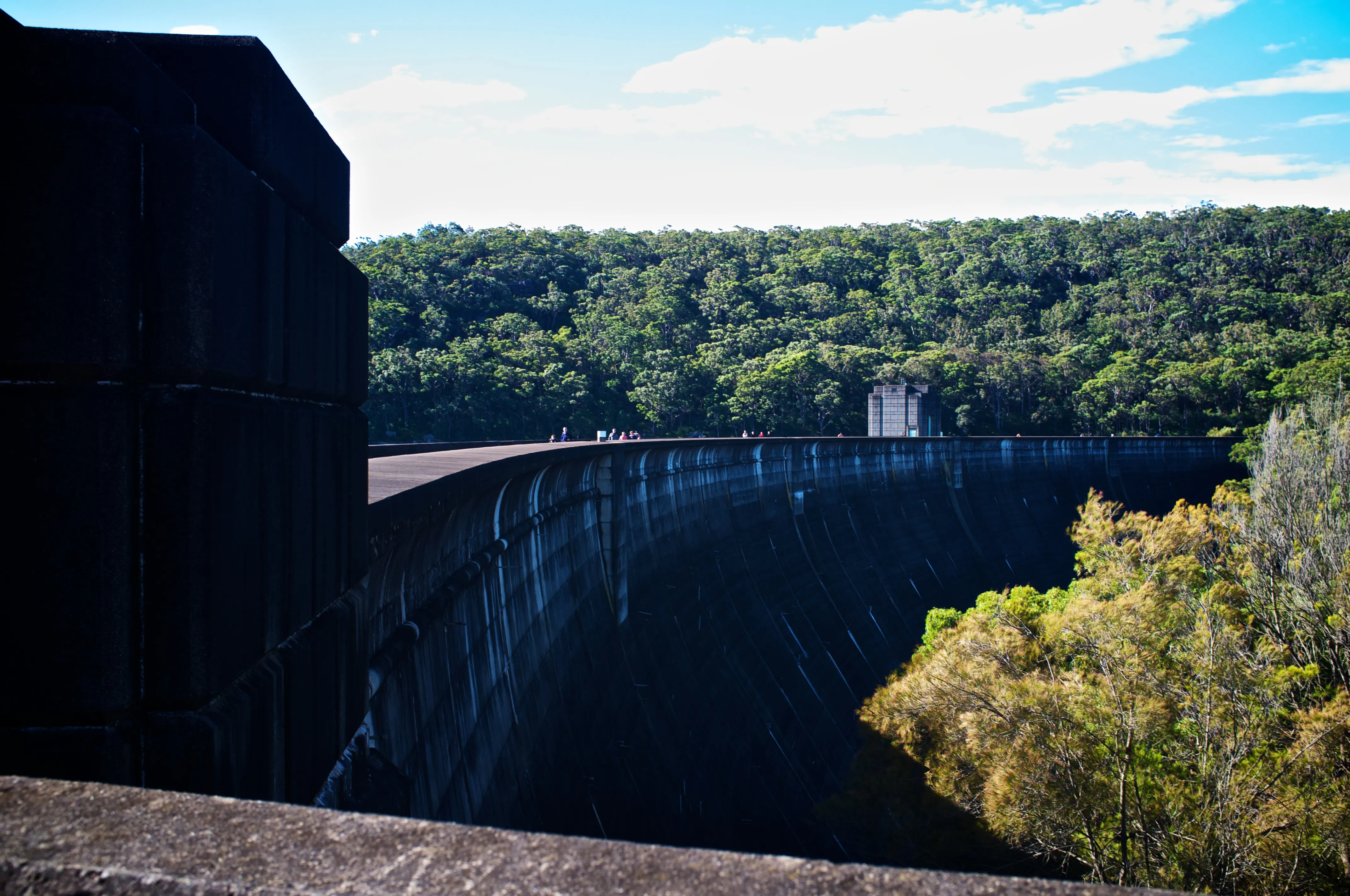 Black And White Or Colours?