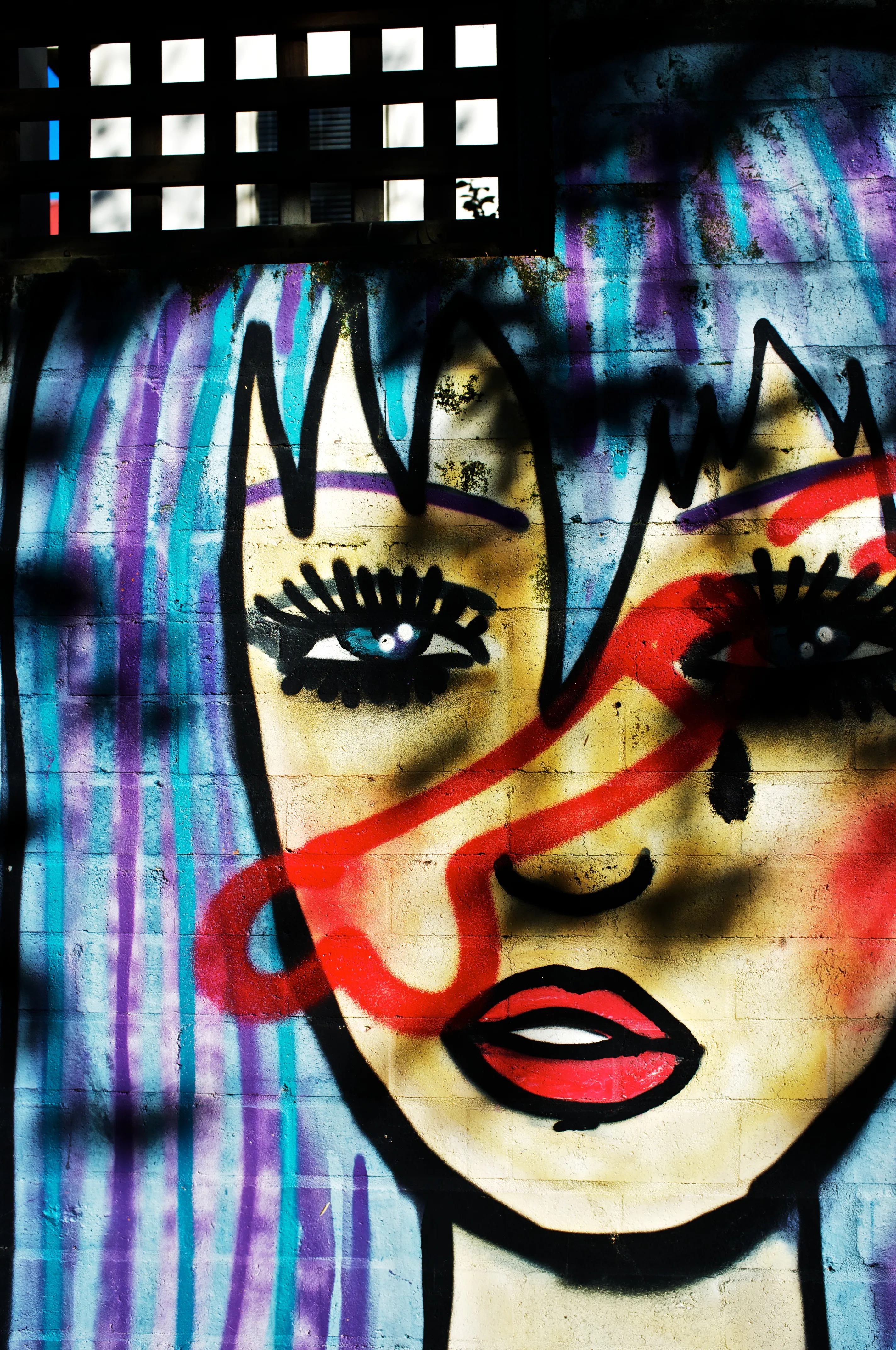 Graffiti, Racism, Newtown