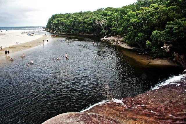 jumping into the youth 02