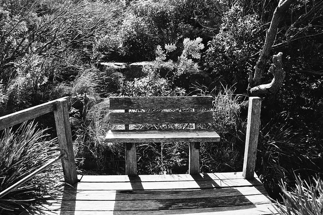 Blues Point Reserve, 2009