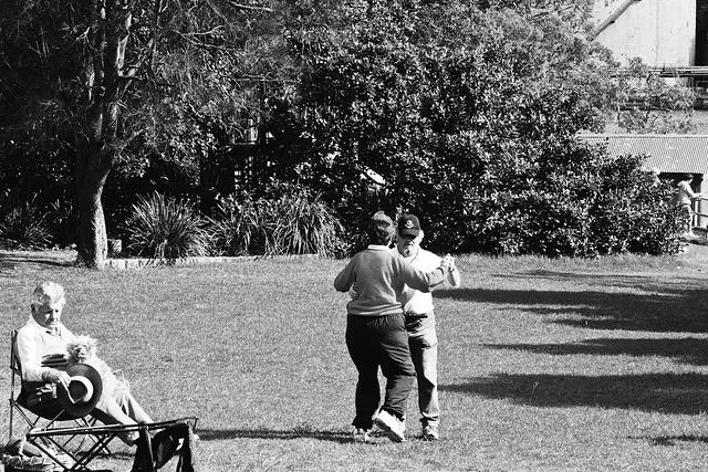 blues point reserve 2