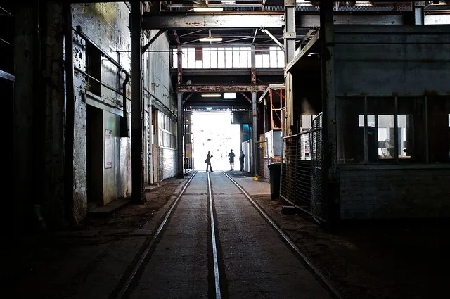 Photographers Under Light