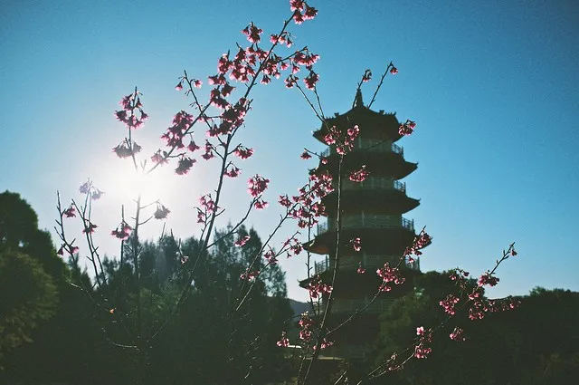 Scent of Nan Tien Temple