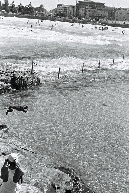 Festival of the Winds, Bondi - on the film