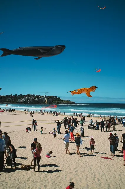 Flying Whale Flying Tiger