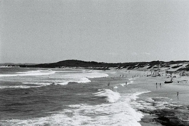 Central Coast and The Joy of Having No Choices