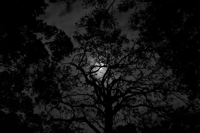 2013-01-25 at 20-24-08