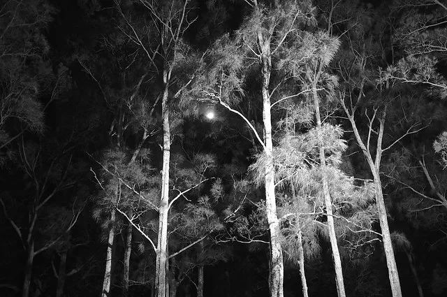 2013-01-25 at 20-40-46