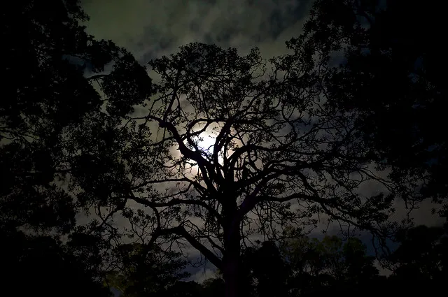 2013-01-25 at 20-25-39