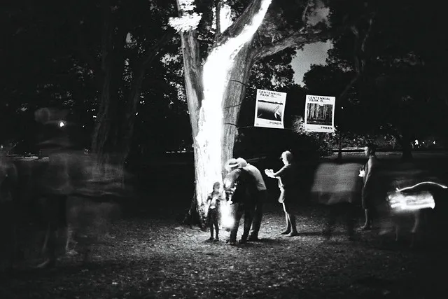 Moonlight caught in film