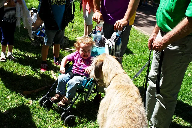 St. Patrick's Day 13