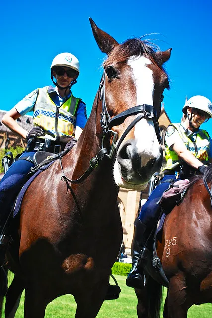 St. Patrick's Day 11