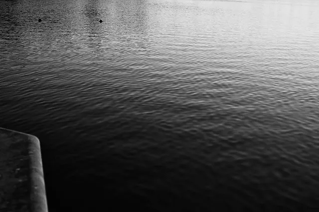 The Ducks - Life Goes On