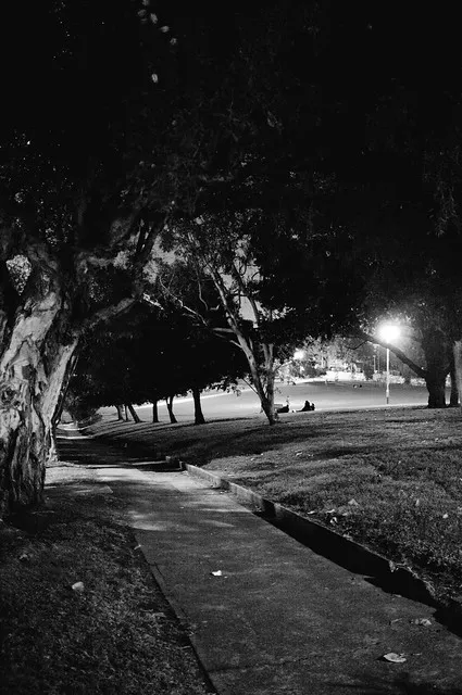 Silent Light at Camperdown Park