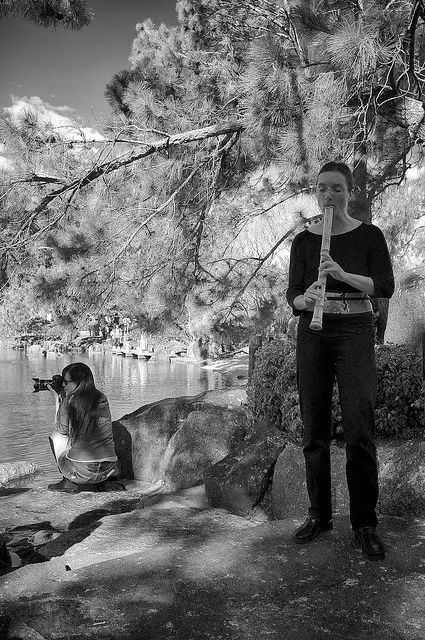 Auburn Botanical Garden 04