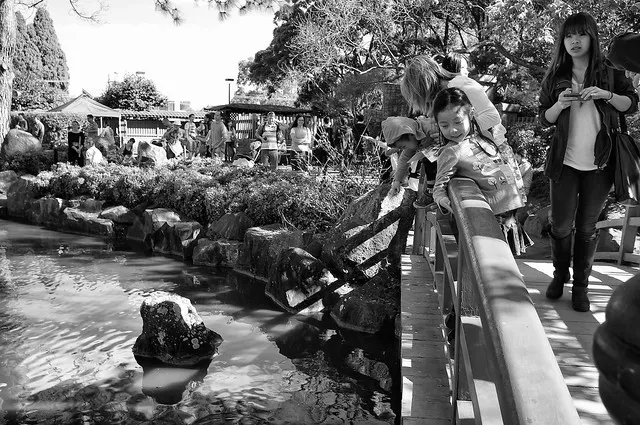 Auburn Botanical Garden 03