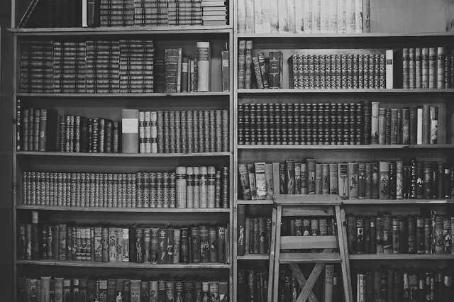 Constalk Bookstore 1