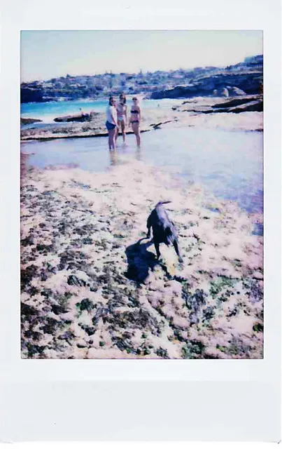 Sculpture by The Sea - INSTAX 6
