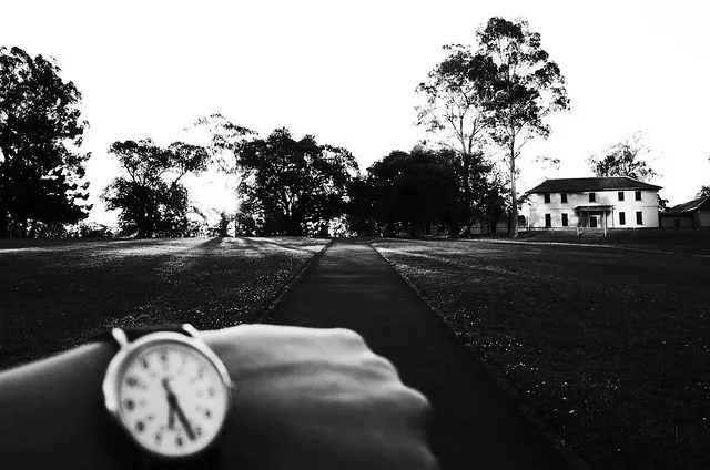 Late In The Afternoon