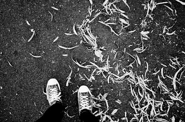 Ricoh GR High Contrast BW 4